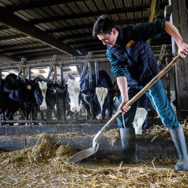 Jeune agri